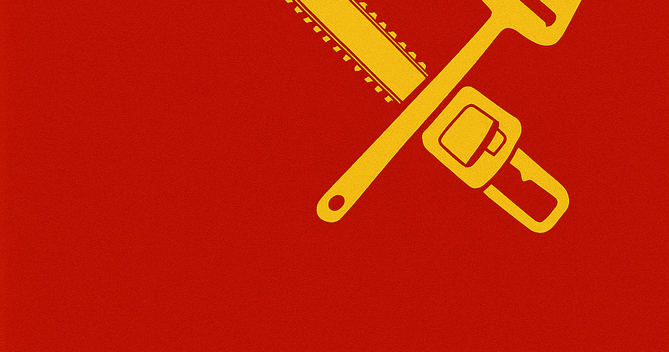 Chainsaw or cheese slicer? Can the Netherlands learn from Milei?